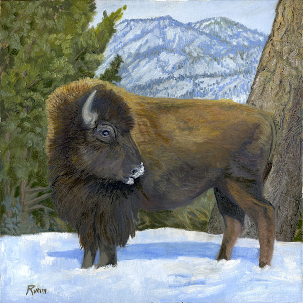 Slim Pickings, Buffalo in Yellowstone by Faith Rumm, Image 17.
