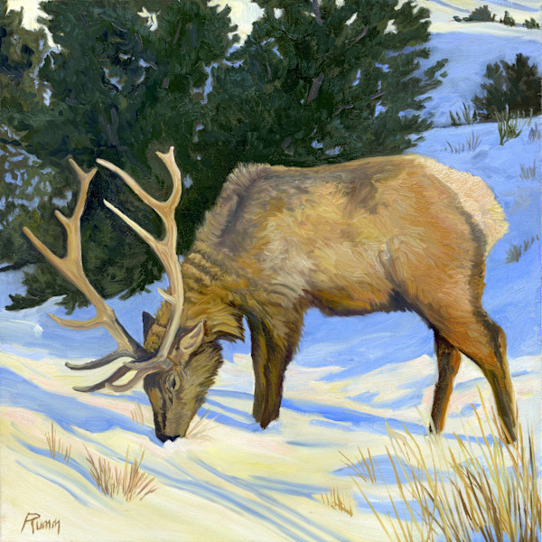 Slim Pickings, Elk in Yellowstone by Faith Rumm, Image 16.
