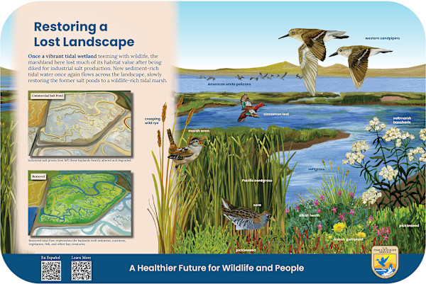 z  RAVENSWOOD Restoring a Lost Landscape by Faith Rumm