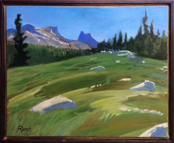 Yosemite Meadow by Faith Rumm