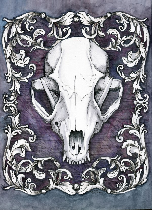 Fox Skull by Julie Peterson Shea