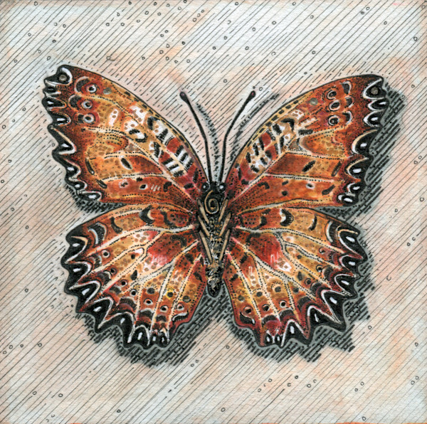 Open Wings by Julie Peterson Shea