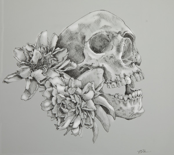 Skull and Peonies by Julie Peterson Shea