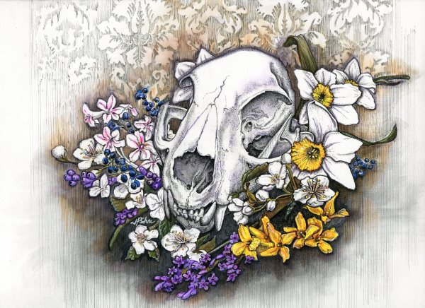 Spring Flowers and Cat Skull by Julie Peterson Shea