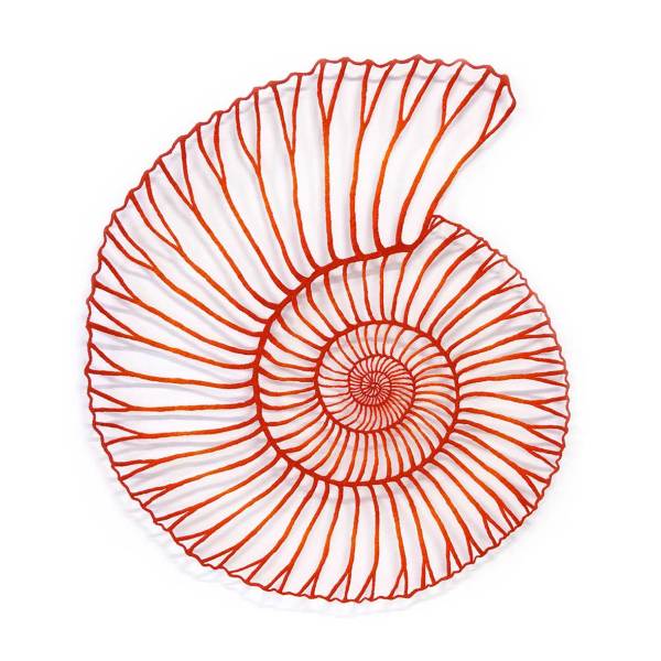 Red Ammonite by Meredith Woolnough