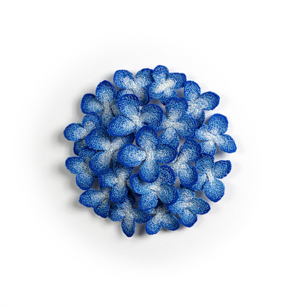 Blue Hydrangea by Meredith Woolnough