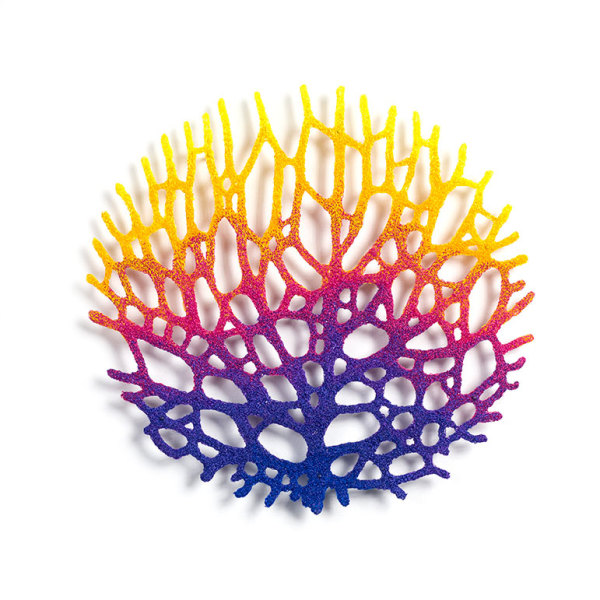 Coral Fan Study 'Glowing Glowing Gone' by Meredith Woolnough