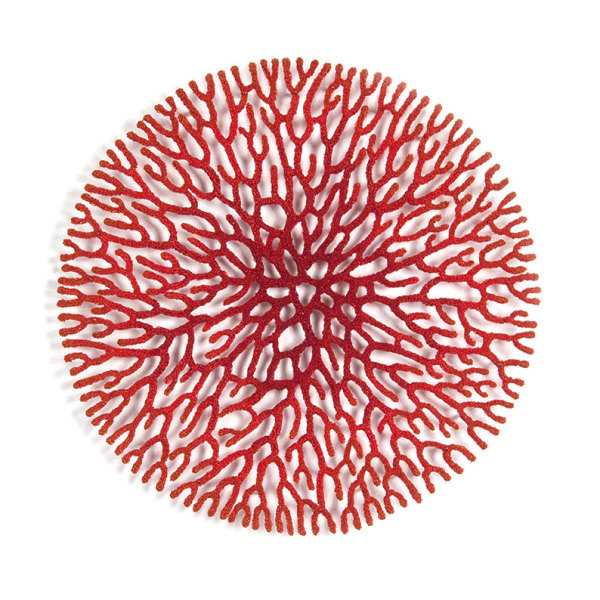 Coral Network 2 by Meredith Woolnough