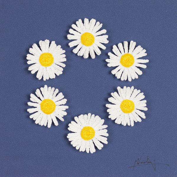 Daisies by Meredith Woolnough