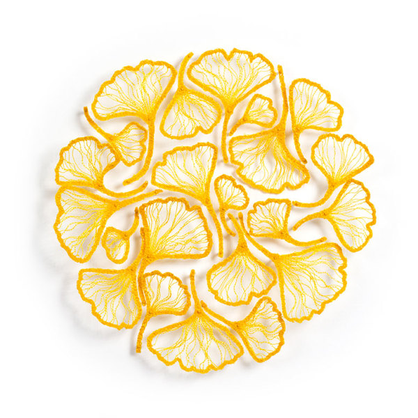 Ginkgo Circle by Meredith Woolnough