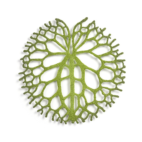 Lily pad by Meredith Woolnough