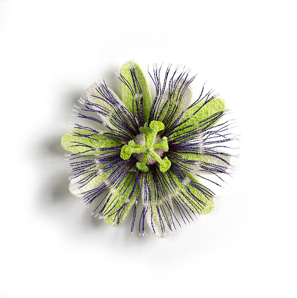 Passion Flower (2) by Meredith Woolnough