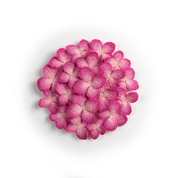 Pink Hydrangea by Meredith Woolnough