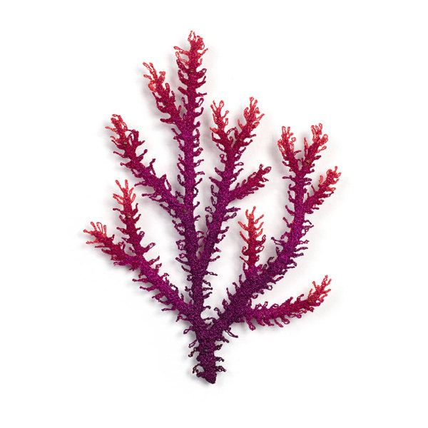 #95 Pink and Purple Seaweed by Meredith Woolnough