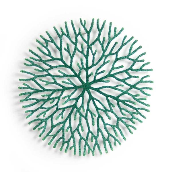nature study (Radiating growth) by Meredith Woolnough