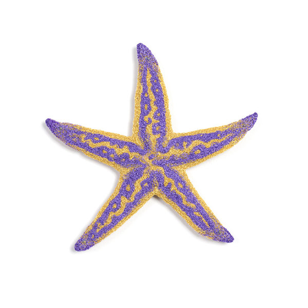 #91 Northern Pacific Sea Star