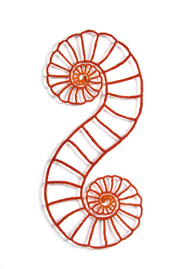 Double Spirula by Meredith Woolnough