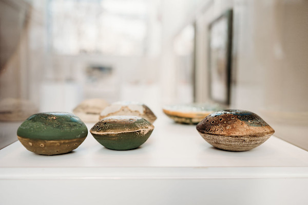 Reef Pods Series by Ana Žanić