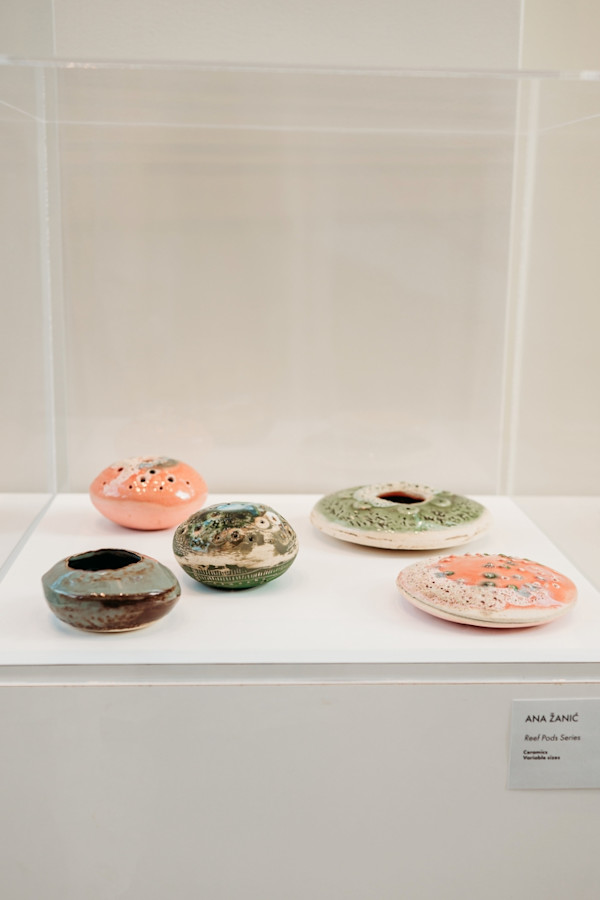 Reef Pod Series by Ana Žanić, Image 13.
