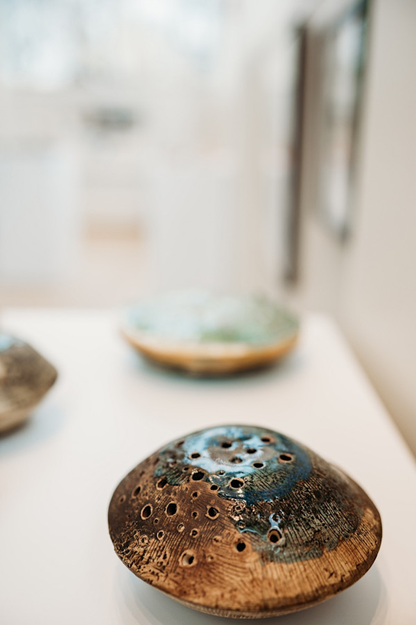 Reef Pod Series by Ana Žanić, Image 6.