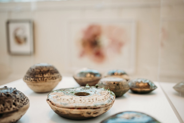 Reef Pod Series by Ana Žanić, Image 3.