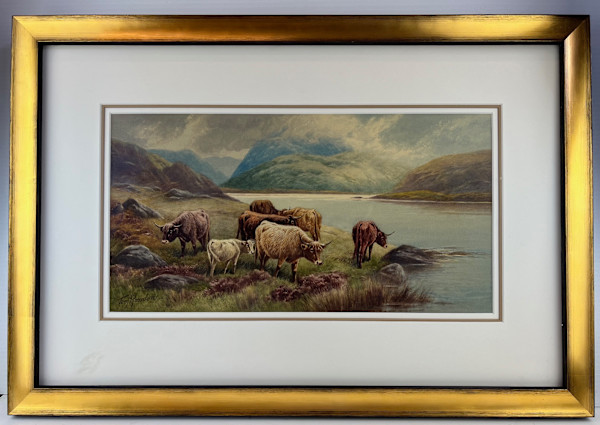 11261 - Steer in Highlands