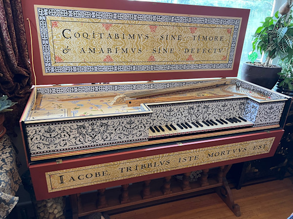 11398 - Virginal Organ, Image 3.