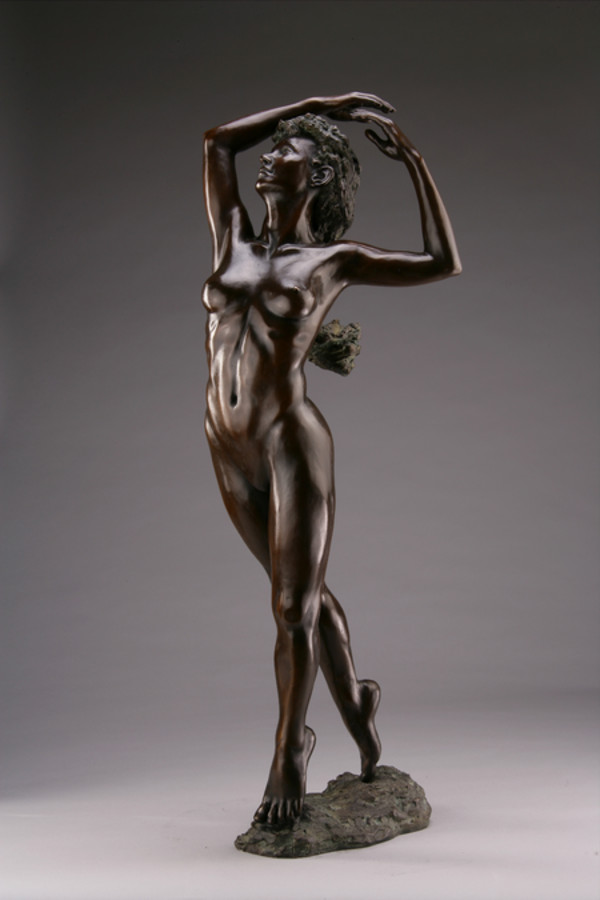 4232 - Flamenco by Blake Ward