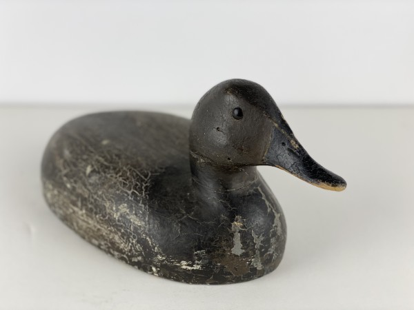 5066 - Duck Decoy