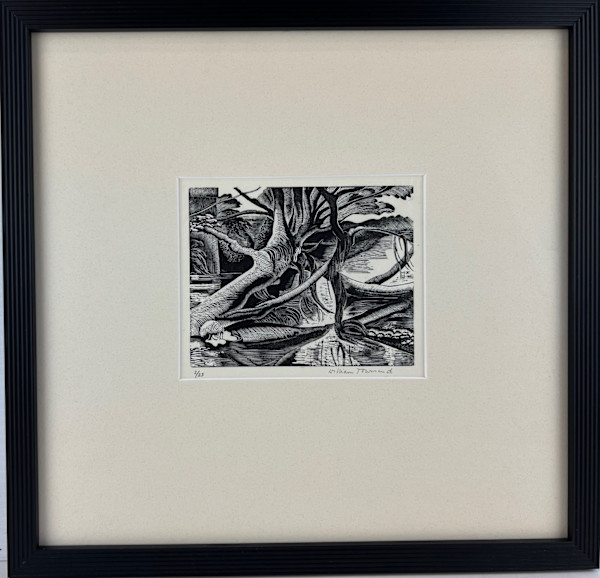 11245 - Tangled Trees