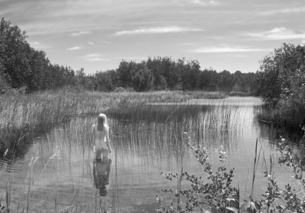 2913 - The Pond Absorbs Silently by Linda Vermeulen