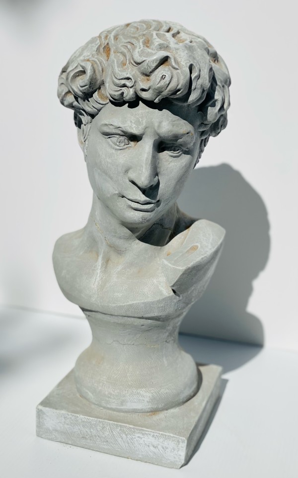 4199 - Roman Male Bust