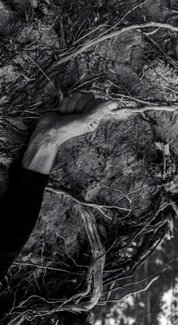 knowing by Sonya Rademeyer