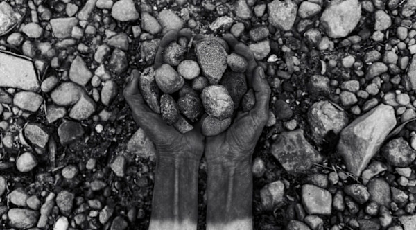 new narratives by Sonya Rademeyer