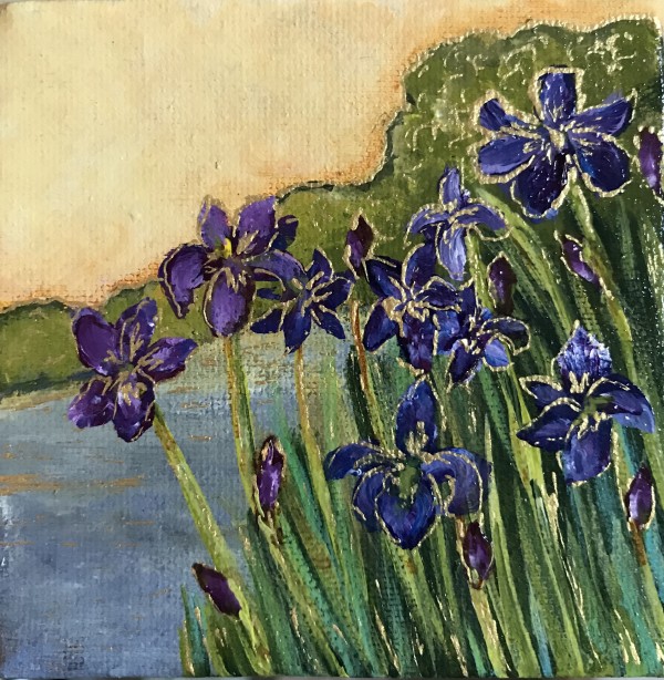 Biltmore Irises - 2 by Dionne White