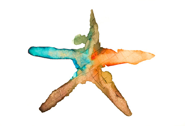 Seasonal Starfish by Dionne White
