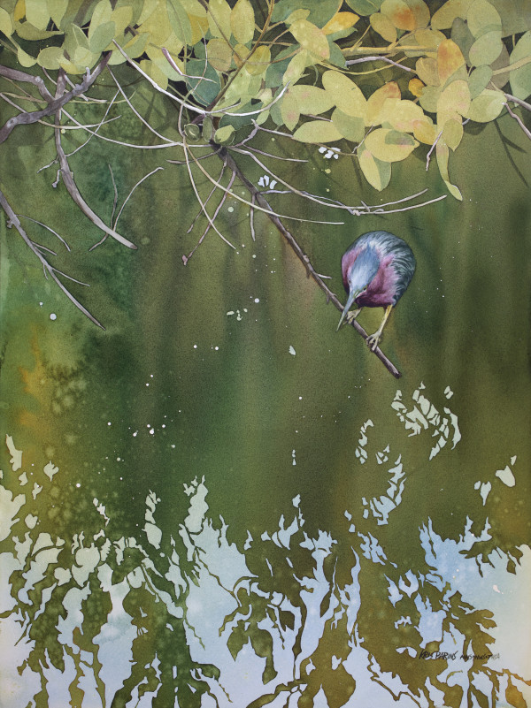 Green Heron, Red Mangrove by Kris Parins