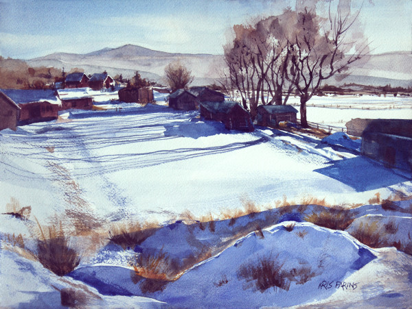 Snow Field by Kris Parins