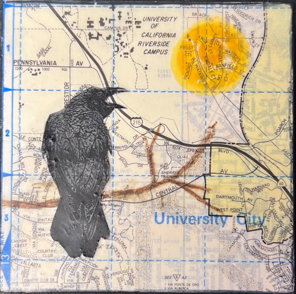 Birds Eye View by Karen Ruth Karlsson, Image 1.