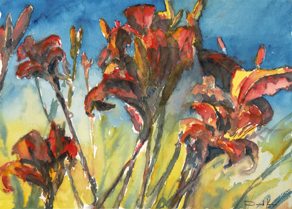 lillies 1 by david knox