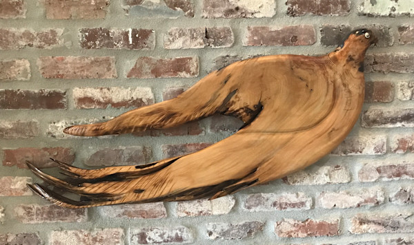 Soaring Falcon by Rigsby Frederick