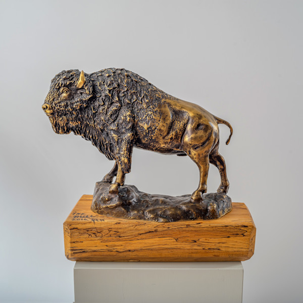 The Bull by Rigsby Frederick