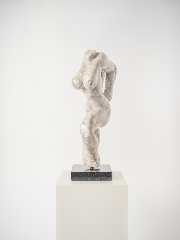 Alpha Female by Rigsby Frederick