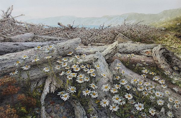 Of Time and Tide by Laurel Lake McGuire