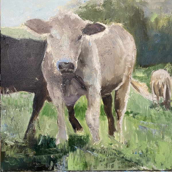 Cow (in progress) by Julia Chandler Lawing