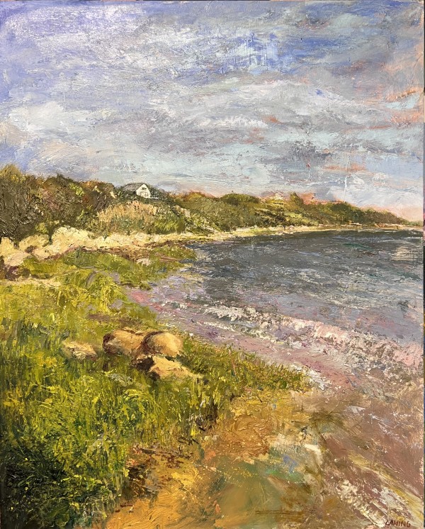 Shoreline At Andy's Way by Julia Chandler Lawing