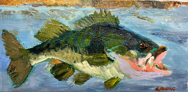 Large-Mouth Bass by Julia Chandler Lawing