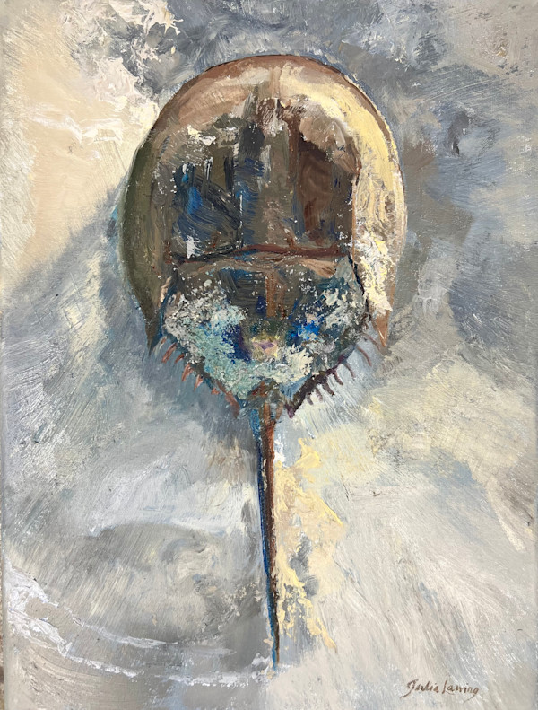 Horseshoe Crab by Julia Chandler Lawing