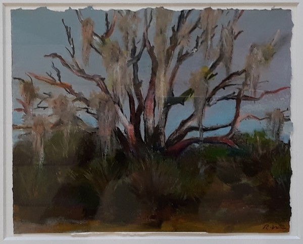 Oak and Moss at San Pedro by Robert Reedy, Image 3.