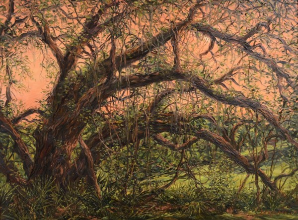King of the Forest by Charles Dickinson, Image 3.
